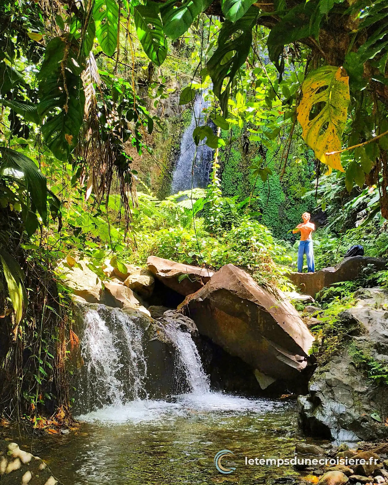 La cascade de Dark View Falls, dans la forêt tropicale de Saint-Vincent
