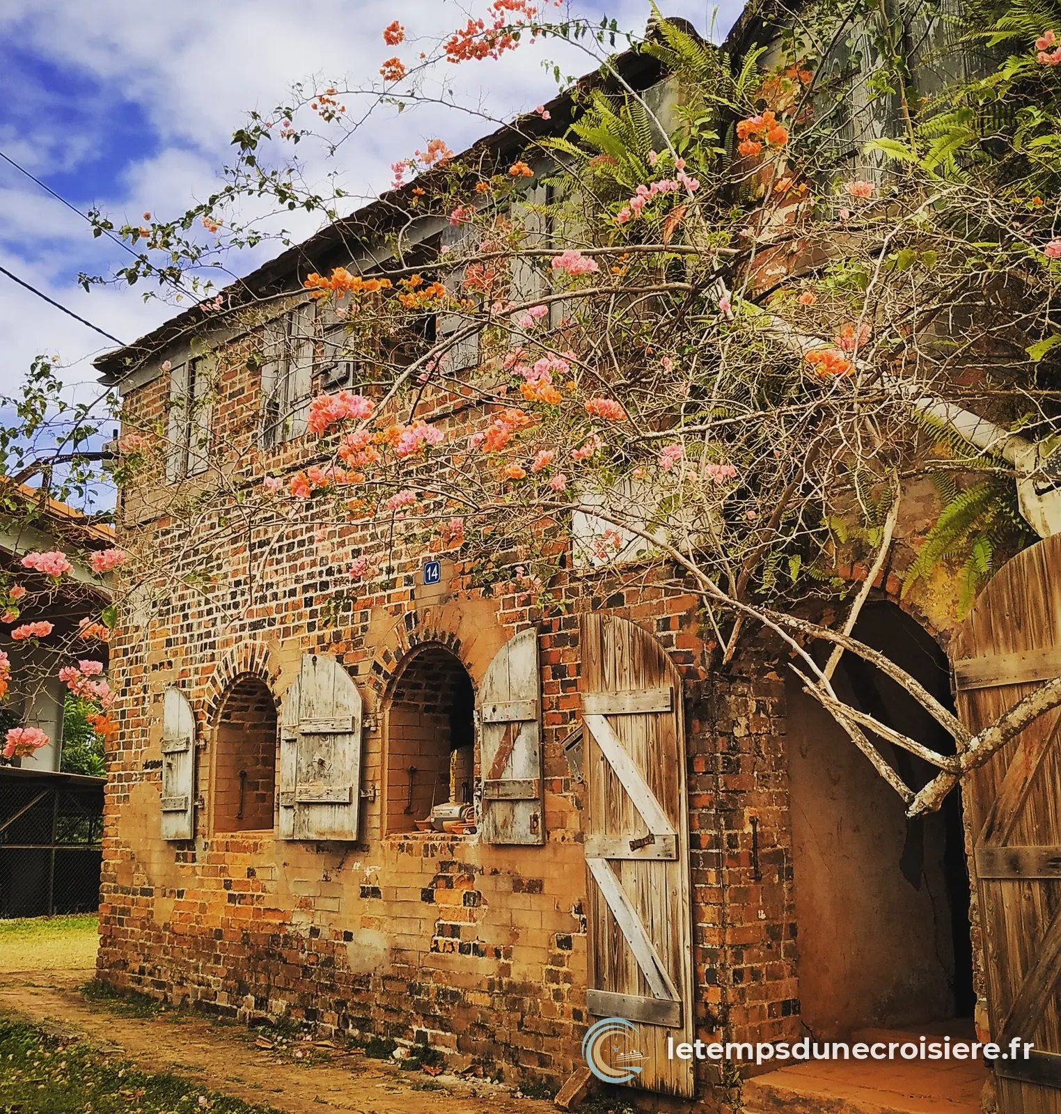 Ancien bâtiment en briques d'une habitation, sous un flamboyant