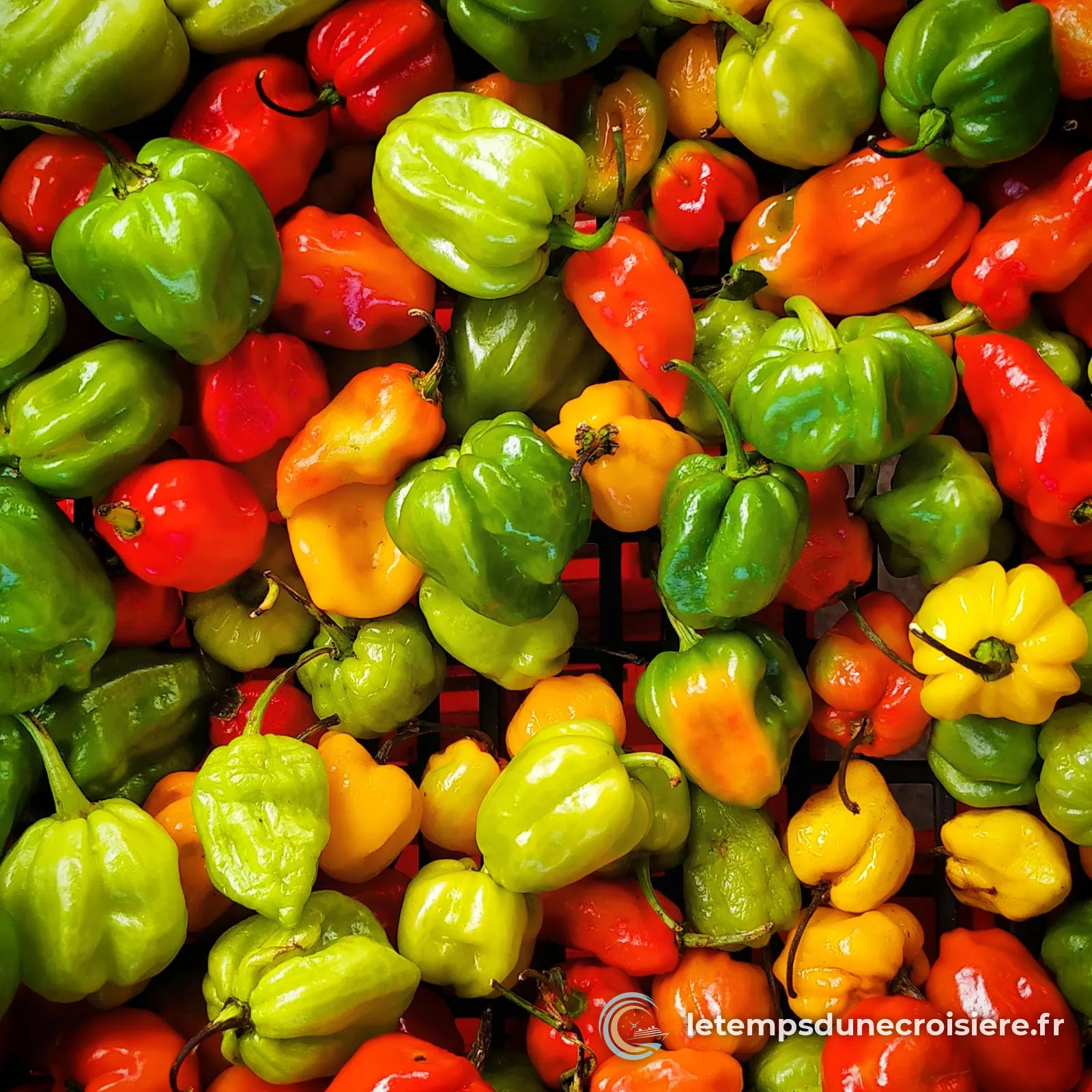 Piments rouges, jaunes et verts sur un étal du marché