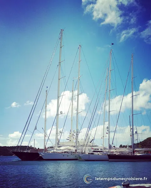 Grands voiliers amarrés dans une marina